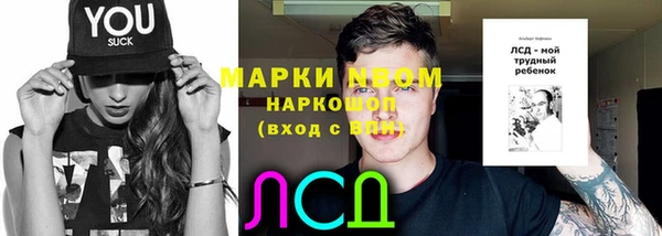 твердый Аркадак