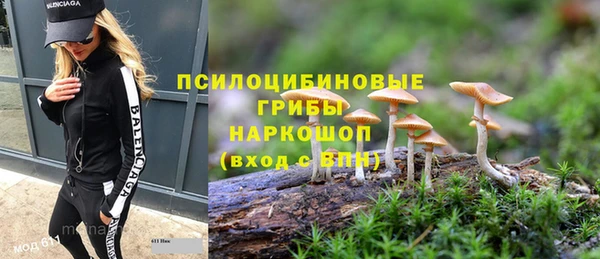 молекула духа Балабаново