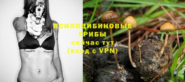spice Баксан