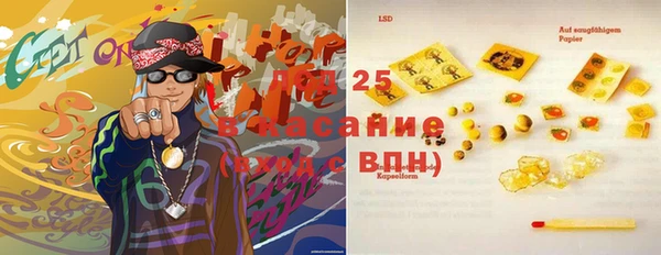 ГАЛЛЮЦИНОГЕННЫЕ ГРИБЫ Балахна